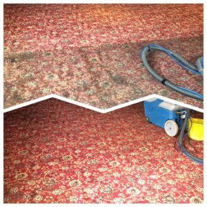 Karpet Kleen Services Pub Carpet red