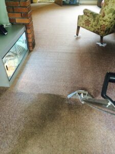 Karpet Kleen Services half cleaned carpet 