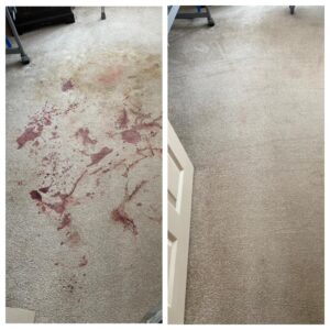 Karpet Kleen Services - stain removal - blood from carpet